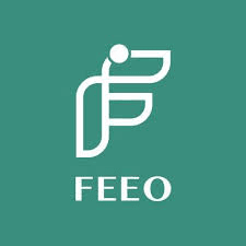FEEO — надежные решения для солнечных электростанций