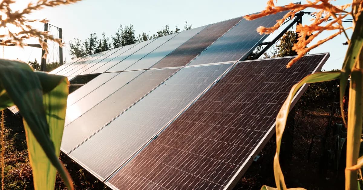 Двусторонние (bifacial) панели: когда доплата оправдана